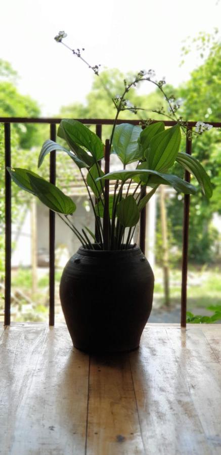 Tuyet'S Homestay นิญบิ่ญ ภายนอก รูปภาพ