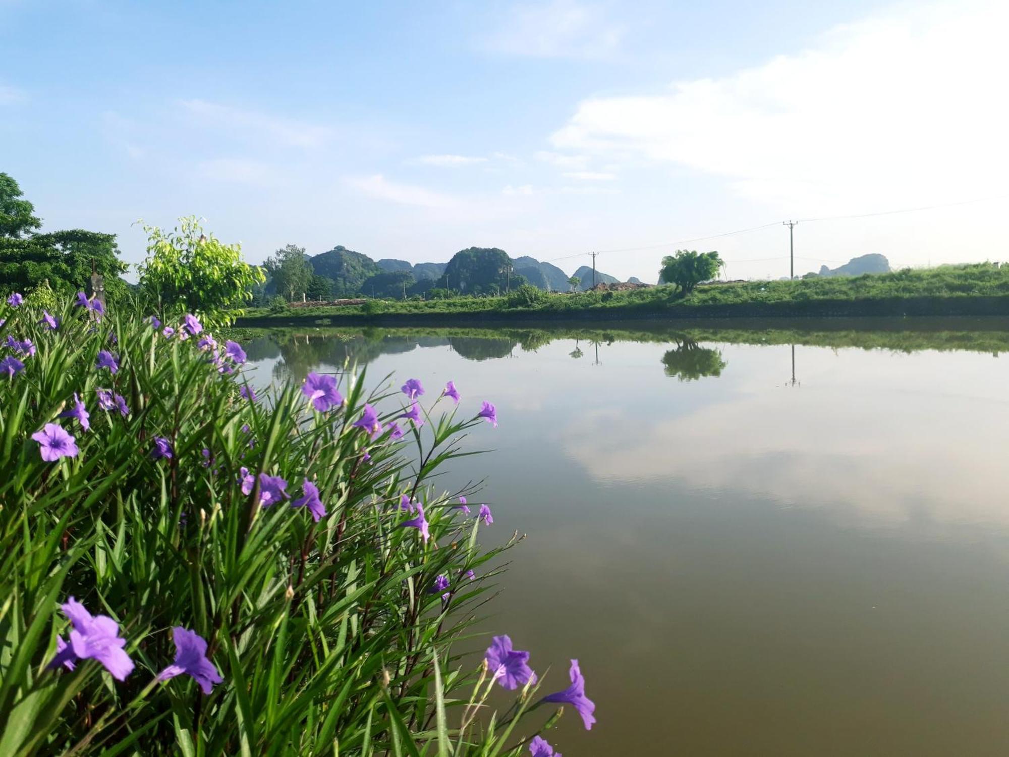 Tuyet'S Homestay นิญบิ่ญ ห้อง รูปภาพ