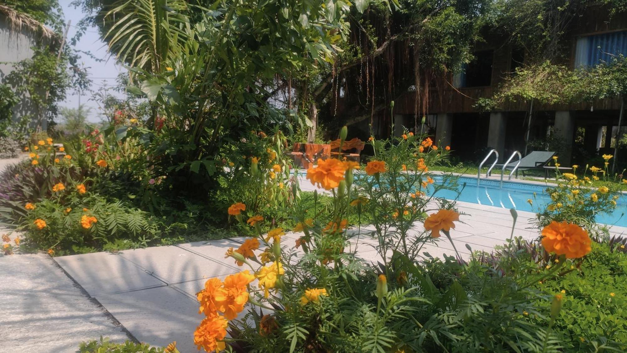 Tuyet'S Homestay นิญบิ่ญ ภายนอก รูปภาพ